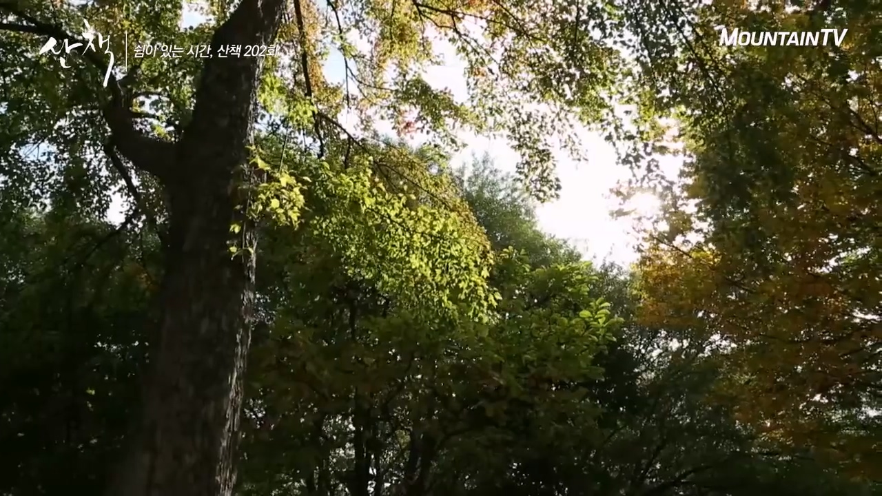 마운틴TV 산책 서울숲 풍경다큐